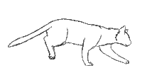 Животные - GIF animado gratis