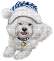 Kaz_Creations Dogs Dog Pup 🐶 - darmowe png