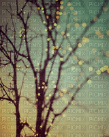 Winter Lichter - Free animated GIF