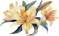 lilies Bb2 - Free PNG