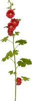 dolceluna red flowers - gratis png