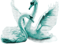Y.A.M._Birds swans blue - безплатен png