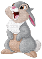 ✶ Thumper {by Merishy} ✶ - gratis png