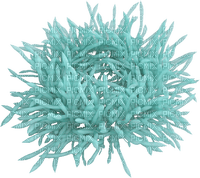Sea ocean underwater marine life anemone
