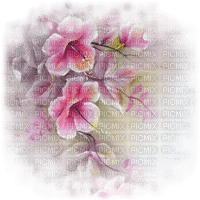 fleurs5966 - PNG gratuit