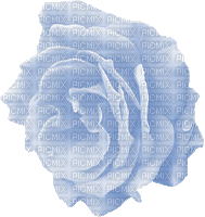rose bleu - Bezmaksas animēts GIF