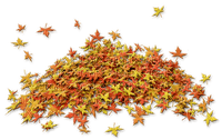 autumn_ leaves_automne_ feuille_BlueDREAM70 - PNG gratuit
