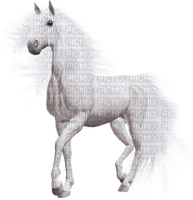 patricia87 cheval - png ฟรี