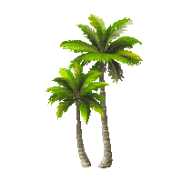 palm trees - 無料のアニメーション GIF
