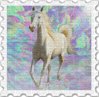 horse stamp - PNG gratuit