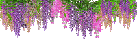 my wisteria border - GIF animate gratis