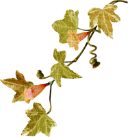 kikkapink autumn branch leaves ivy - png gratuito