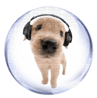 dog bubble 2 - PNG gratuit