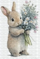 sweet rabbit - δωρεάν png