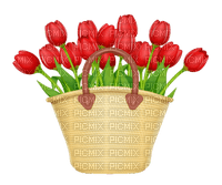 Flowers. Tulip. Red. Basket. Leila - δωρεάν png