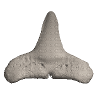 shark tooth - Nemokamas animacinis gif