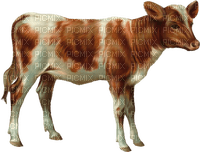 Vache .S - Free PNG