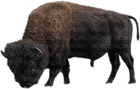 bison milla1959 - фрее пнг