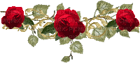 Flowers red rose bp - GIF animate gratis