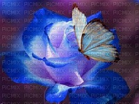 Flower - δωρεάν png