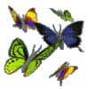butterfly - Besplatni animirani GIF