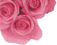 rose corners - png gratuito