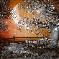 soave background animated autumn forest fantasy - Gratis geanimeerde GIF