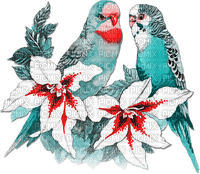 soave deco summer bird tropical parrot flowers - δωρεάν png