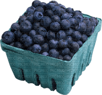 Fruit. Blueberry. Leila - bezmaksas png
