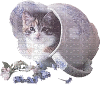 gatito - GIF animate gratis
