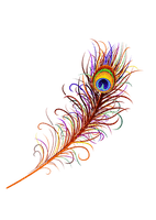 Peacock Feather - nemokama png