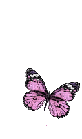 pink papillon - GIF animé gratuit