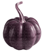 purple pumpkin Bb2 - kostenlos png