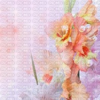 Цветочный фон - nemokama png