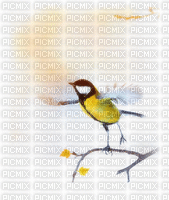 Little Bird - Besplatni animirani GIF