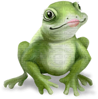 frog-groda-deco-minou52 - ilmainen png
