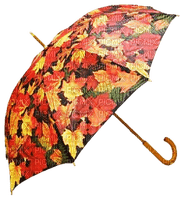 Sombrilla  para el  otoño - zdarma png