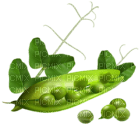 Kaz_Creations Vegetables - gratis png