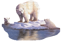 bear bär winter milla1959 - Besplatni animirani GIF