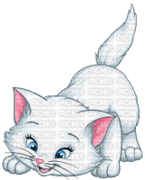 cat white - PNG gratuit