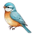 uccellino azzurro - gratis png