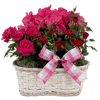 Kaz_Creations Flowers Plant Deco Vase - zadarmo png