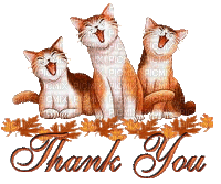 Thank You Cats - GIF animate gratis