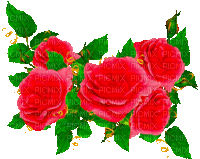 Y.A.M._Vintage roses flowers - GIF animé gratuit