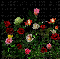 rose petals Nitsa Papakon - GIF animado grátis