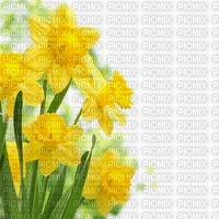 Kaz_Creations Backgrounds Background Flowers - png gratuito