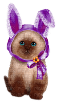 Easter Cat - бесплатно png