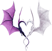 Y.A.M._Fantasy dragons - Free PNG