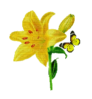 fleur-papillon-lys-soleil - GIF animado gratis