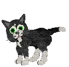 Petz Black and White Shorthair Meowing - ücretsiz png